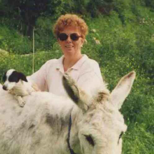 A picture of 'Phyllis Oostermeijer'